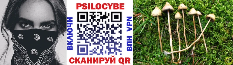 Галлюциногенные грибы Magic Shrooms  Верхоянск 